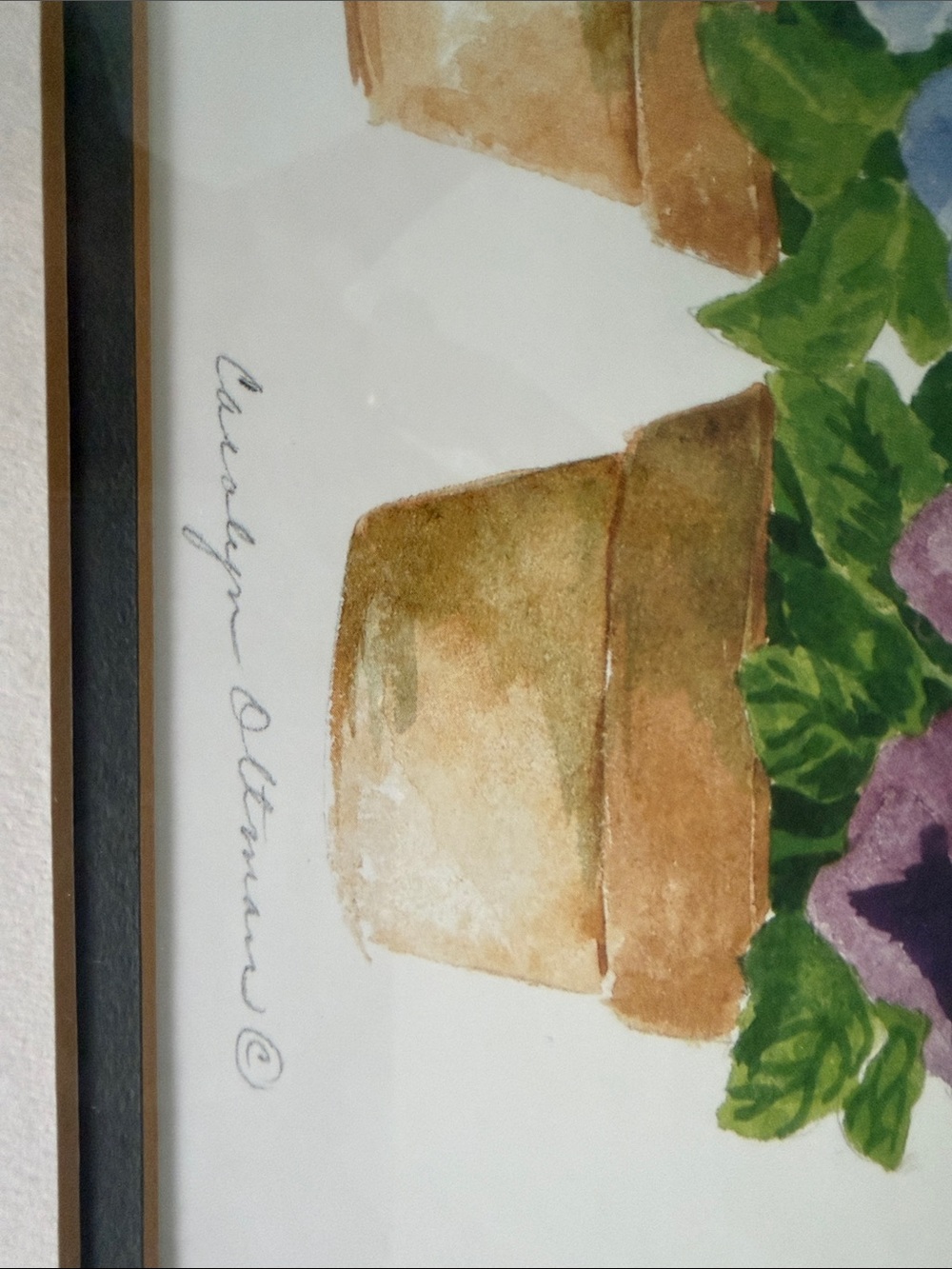 Framed and Signed Floral Watercolor Print - Pansies & Pots, By Carolyn Oltman - Picture 6 of 7